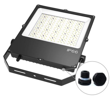 Daylight Microwave Sensor LED Flood Light